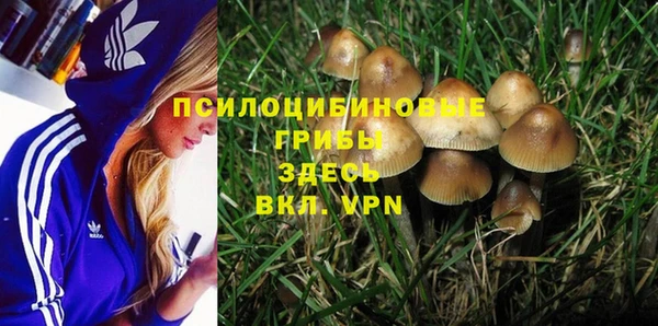ALPHA-PVP Нефтегорск