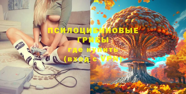 винт Нея