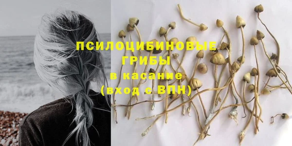 винт Нея