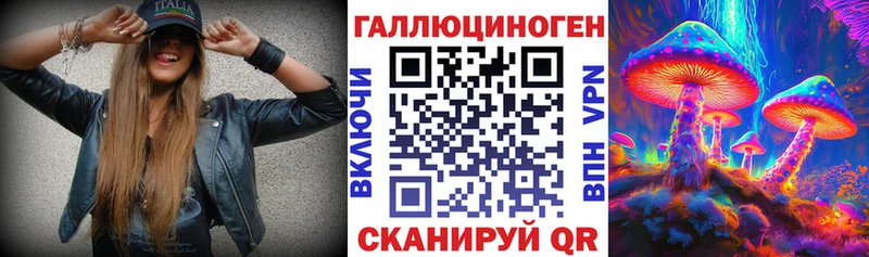 Псилоцибиновые грибы Psilocybine cubensis  где продают   Боготол 